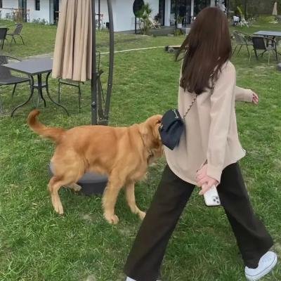 亲爱的亚当